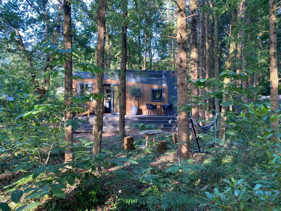 Tiny House Sur Terrain Boise A 10 Mn De La Mer Ferel Экстерьер фото
